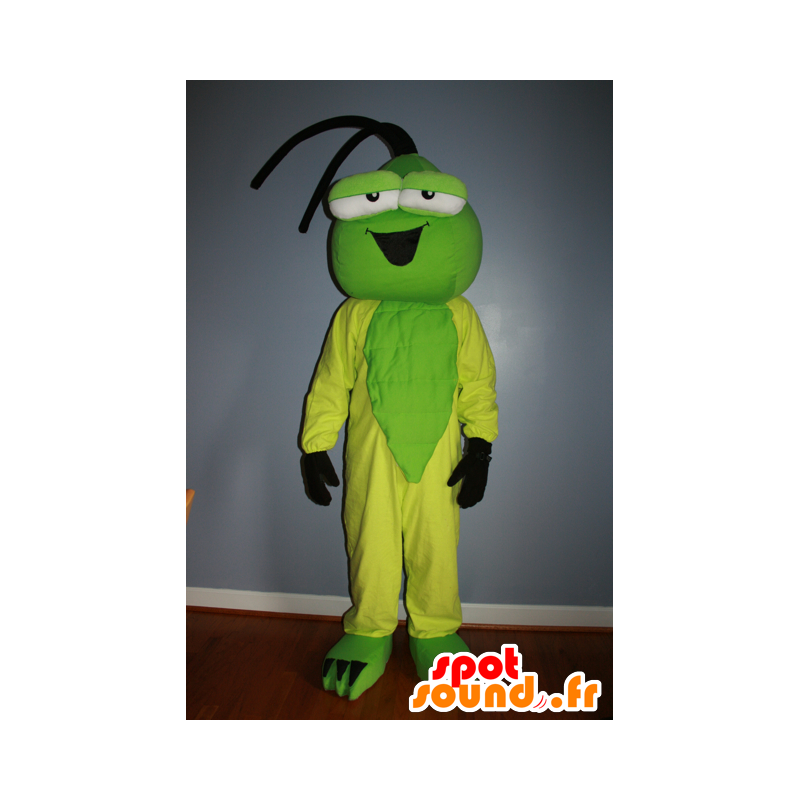 Grøn og gul insekt maskot - Spotsound maskot kostume