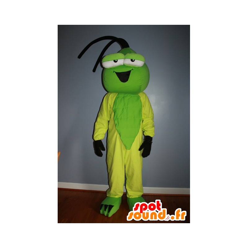 Mascotte d'insecte vert et jaune - MASFR20603 - Mascottes Insecte