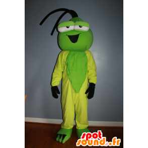 Mascotte d'insecte vert et jaune - MASFR20603 - Mascottes Insecte