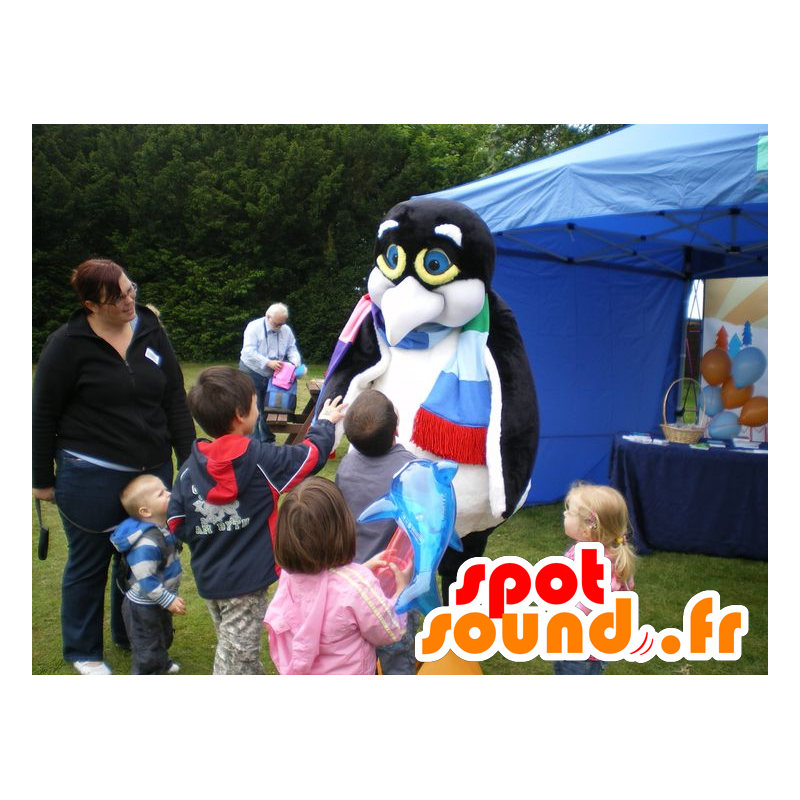 Mascot svart og hvit pingvin, pingvin - MASFR20624 - Penguin Mascot