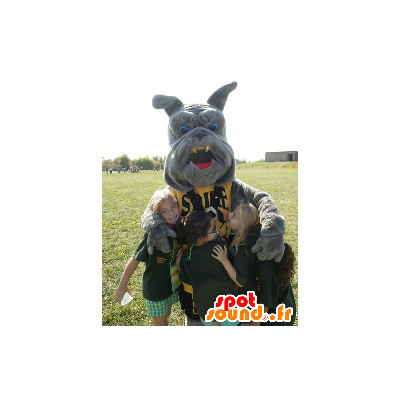 Gray buldogmascotte - MASFR20632 - Dog Mascottes