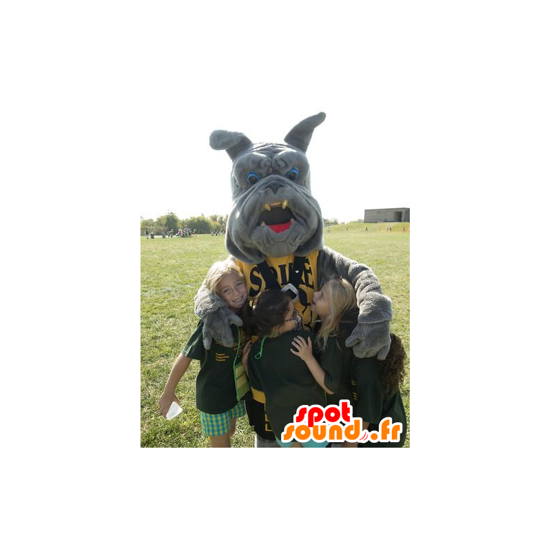 Gray bulldog maskot - MASFR20632 - Dog Maskoter