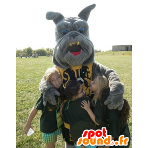 Gray buldogmascotte - MASFR20632 - Dog Mascottes