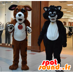 2 animais de estimação, um gato e um cão gigante - MASFR20650 - Mascotes cão