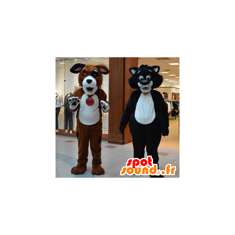 2 mascotas, un gato y un perro gigante - MASFR20650 - Mascotas perro