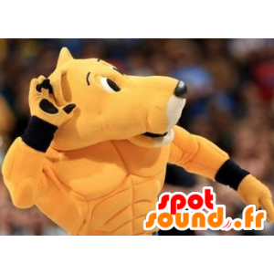 Tiikeri maskotti, oranssi kissa, urheiluvaatteita - MASFR20656 - Tiger Maskotteja