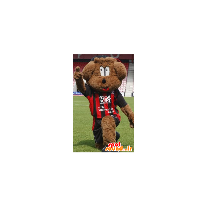 Mascota Perro de Brown en ropa deportiva - MASFR20671 - Mascotas perro