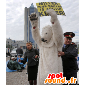 Mascotte d'ours polaire, d'ours blanc - MASFR20672 - Mascotte d'ours