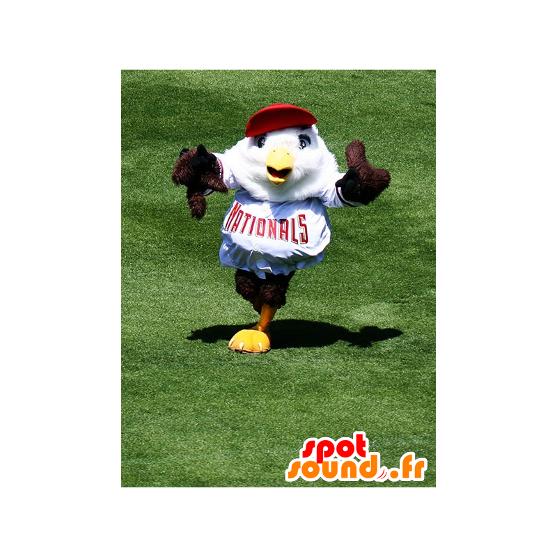 Mascot kotka, ruskea ja valkoinen lintu - MASFR20711 - maskotti lintuja