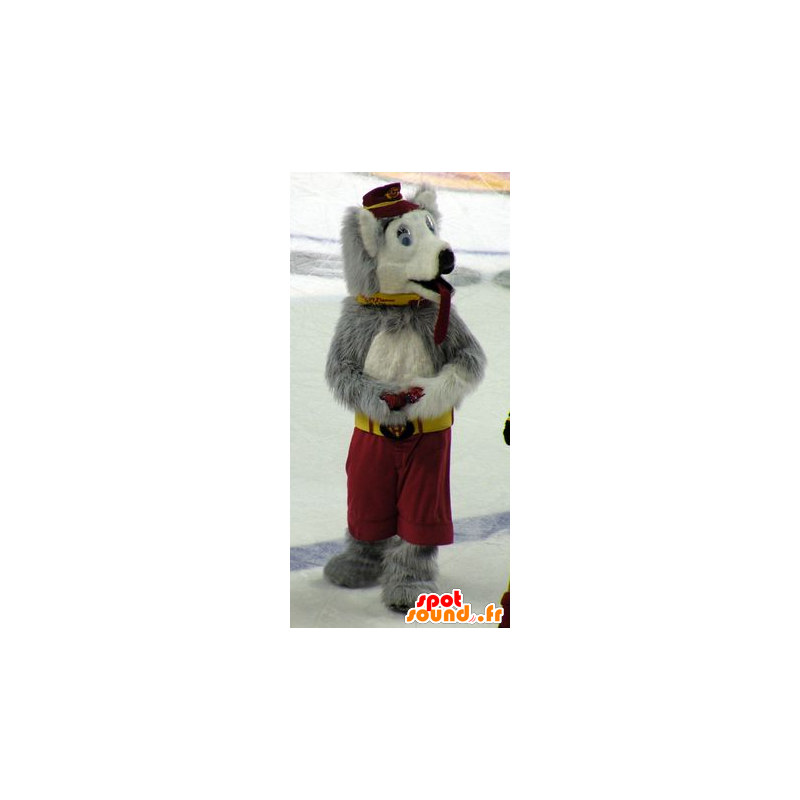 Mascot dog, wolf, gray and white - MASFR20713 - Mascots Wolf