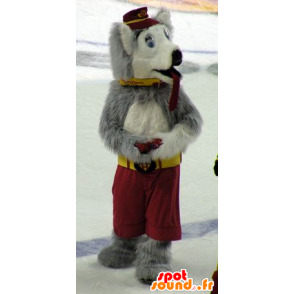 Hond mascotte wolf, grijs en wit - MASFR20713 - Wolf Mascottes