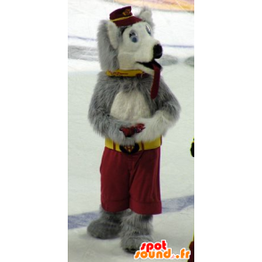 Mascotte de chien, de loup, gris et blanc - MASFR20713 - Mascottes Loup