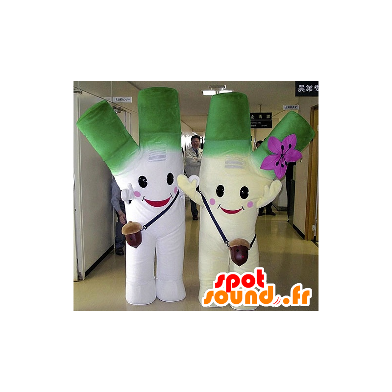 2 mascots giant leeks, green and white - MASFR20730 - Mascot of vegetables