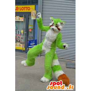 Cat mascot, green raccoon, white and orange - MASFR20750 - Mascots of pups