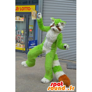 Cat Mascot, guaxinim verde, branco e laranja - MASFR20750 - Mascotes dos filhotes