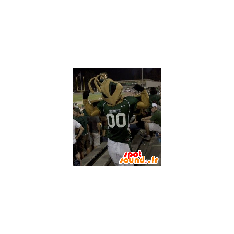 Mascot brown ants, muscular, in sportswear - MASFR20759 - Mascots Ant Mascot brown ants, muscular, in sportswear - MASFR20759 - Mascots Ant