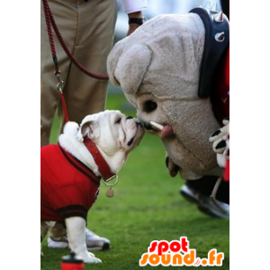 Dog mascot, gray bulldog - MASFR20775 - Dog mascots