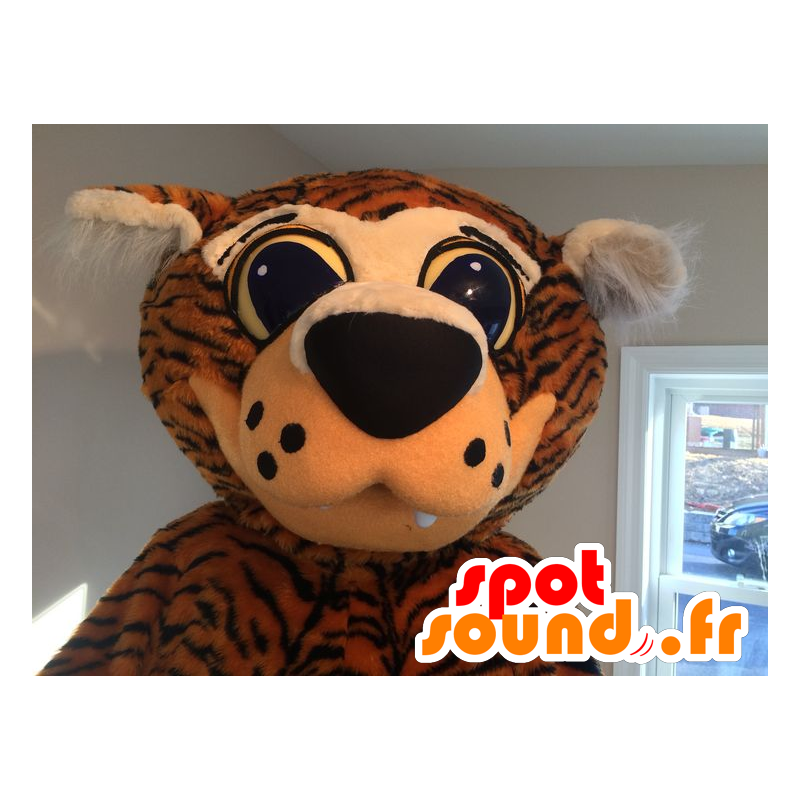 Mascot oransje og svart tiger med store øyne - MASFR20780 - Tiger Maskoter