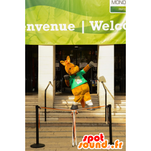 Kůň maskot, hnědé hříbě - MASFR20802 - kůň maskoti