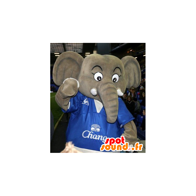 Mascot big gray elephant - MASFR20815 - Elephant mascots