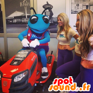 Mascot ants, blue insect, giant - MASFR20853 - Mascots Ant