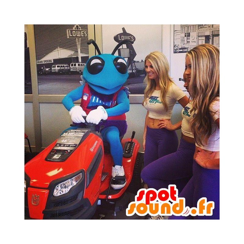 Mascot ants, blue insect, giant - MASFR20853 - Mascots Ant Mascot ants, blue insect, giant - MASFR20853 - Mascots Ant