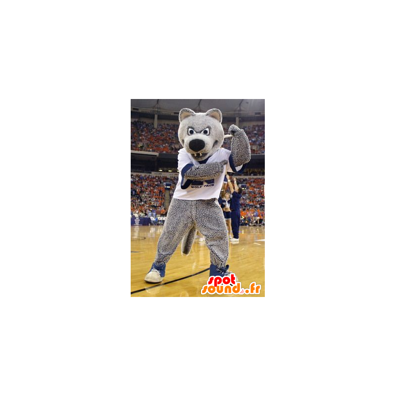 Mascotte d'ours gris, en tenue de sport - MASFR20872 - Mascotte d'ours