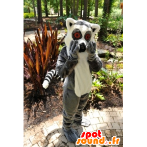 Mascote lemur, macaco pequeno cinza e branco - MASFR20873 - macaco Mascotes