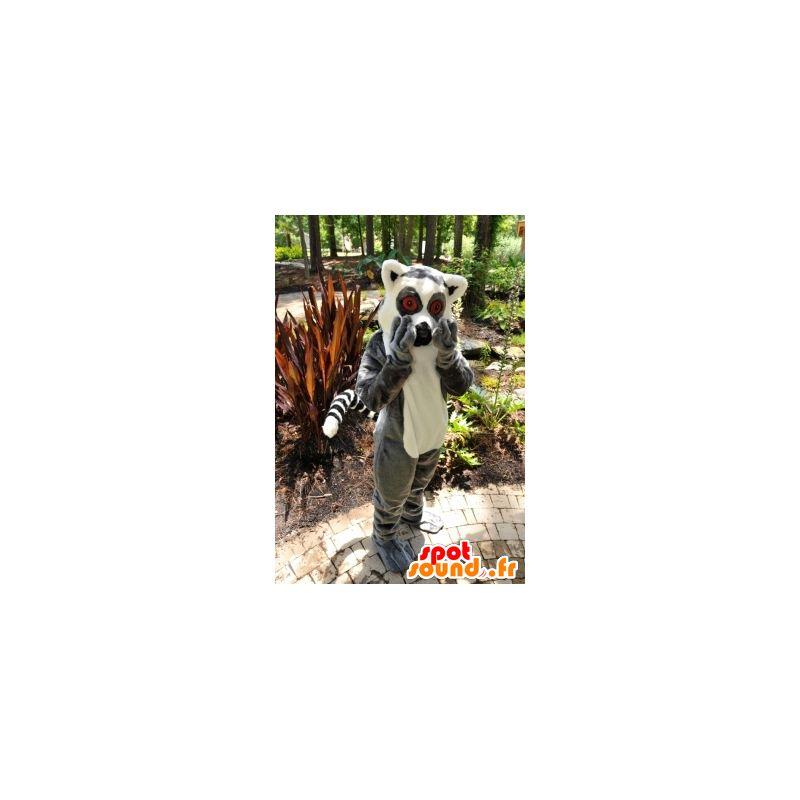 Mascot lemur, small gray and white monkey - MASFR20873 - Mascots monkey