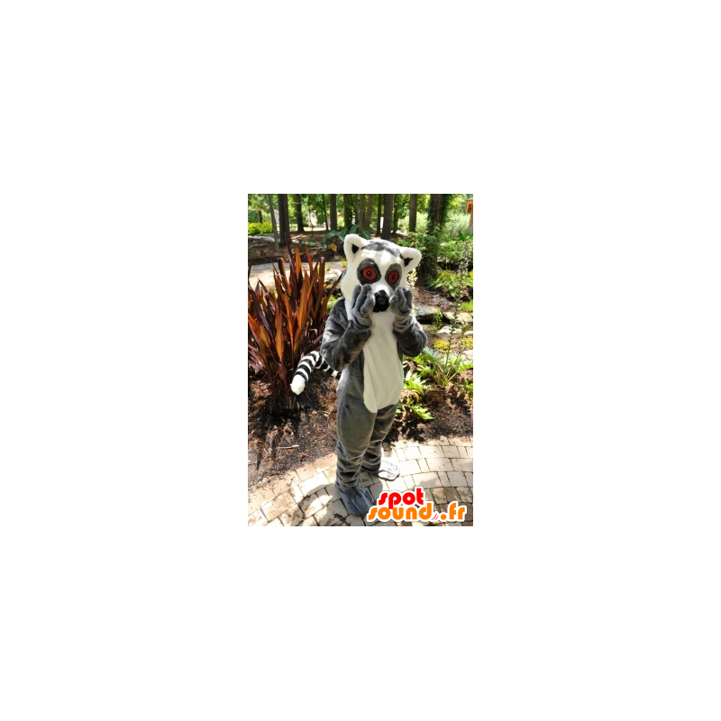 キツネザルのマスコット、小さな灰色と白の猿-MASFR20873-猿のマスコット