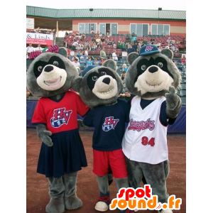 3 maskotteja pesukarhu, kantaa trikolori - MASFR20877 - Bear Mascot