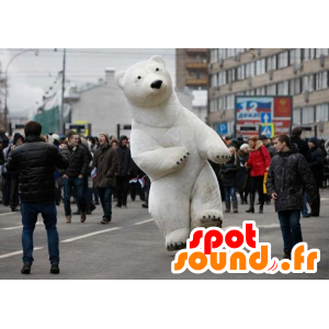 Isbjörn maskot, isbjörn - Spotsound maskot