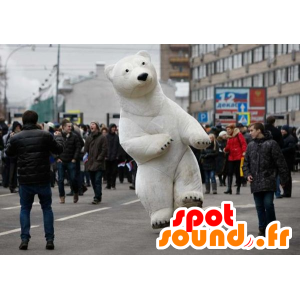 Mascotte d'ours polaire, d'ours blanc - MASFR20878 - Mascotte d'ours