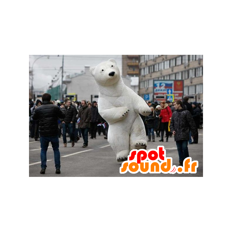 Mascotte d'ours polaire, d'ours blanc - MASFR20878 - Mascotte d'ours