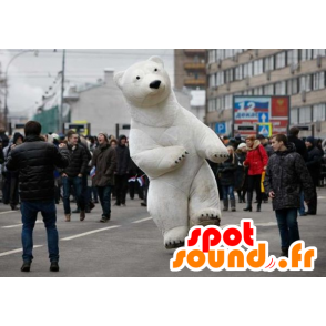 Mascot Polar Bear, Polar Bear - MASFR20878 - Bear Mascot