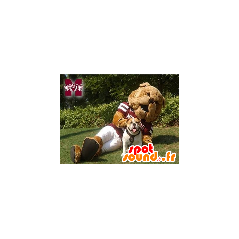 Mascot καφέ μπουλντόγκ σε αθλητικά - MASFR20881 - σπορ μασκότ Mascot καφέ μπουλντόγκ σε αθλητικά - MASFR20881 - σπορ μασκότ