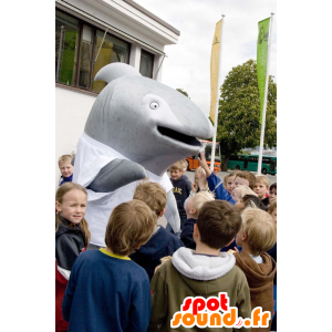 Mascota del delfín gris, ballena - MASFR20887 - Delfín mascota