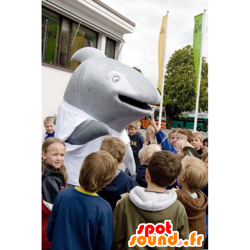 Mascota del delfín gris, ballena - MASFR20887 - Delfín mascota Mascota del delfín gris, ballena - MASFR20887 - Delfín mascota