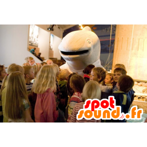 Mascot grau Delphin, Wal - MASFR20887 - Maskottchen Dolphin