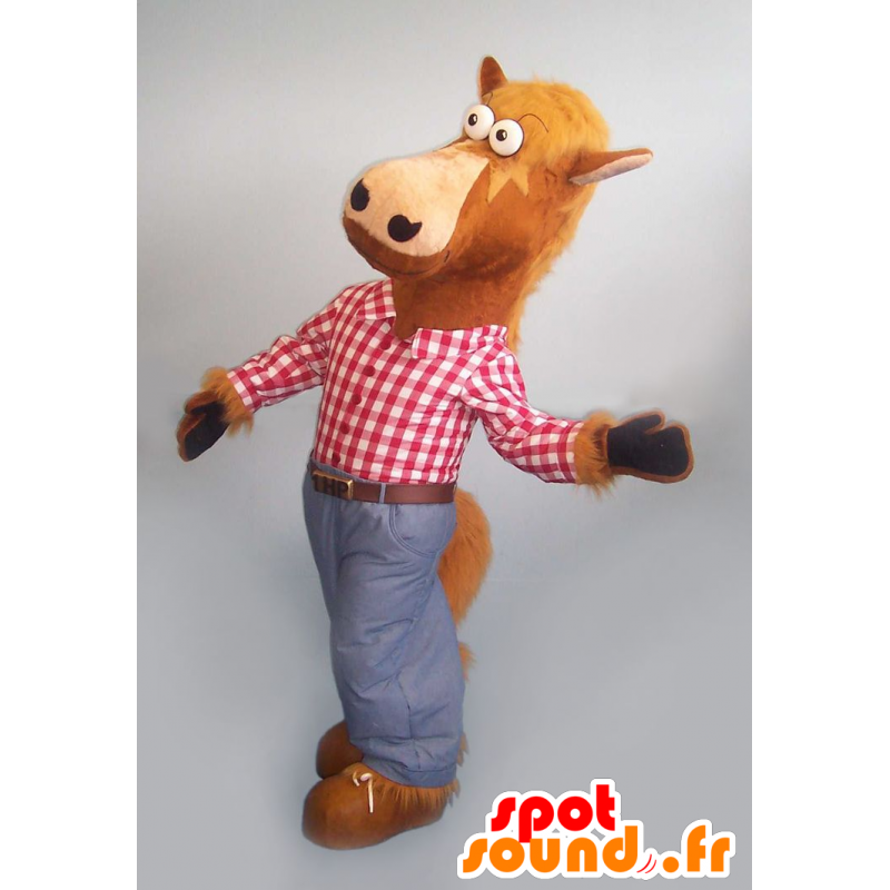 Mascota del caballo marrón con una camisa a cuadros y pantalones vaqueros - MASFR20918 - Caballo de mascotas