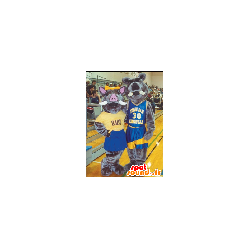 2 boar mascots, wild pig - MASFR20980 - Mascots pig 2 boar mascots, wild pig - MASFR20980 - Mascots pig