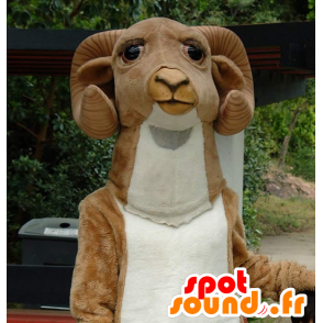 Capra mascotte, marrone e bianco ram - MASFR20988 - Mascotte toro
