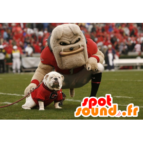 Beige bulldog mascot, very muscular - MASFR21003 - Dog mascots