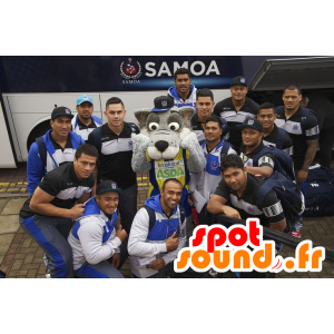 Mascot gray wolf, with a large head - MASFR21013 - Mascots Wolf