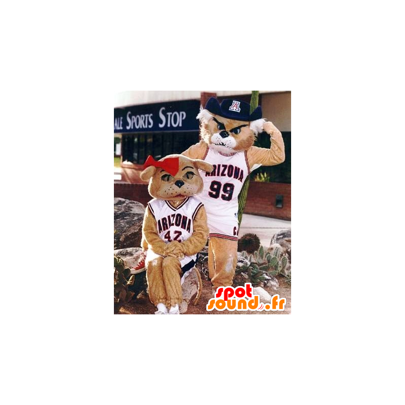 2 tiikeri mascots: uros ja naaras - MASFR21023 - Tiger Maskotteja 2 tiikeri mascots: uros ja naaras - MASFR21023 - Tiger Maskotteja
