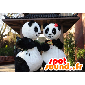 Dois mascotes panda, preto e branco - MASFR21027 - pandas mascote