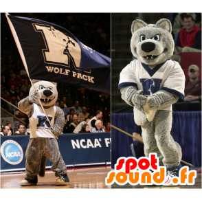 Mascot lobo cinzento, o feroz - MASFR21044 - lobo Mascotes