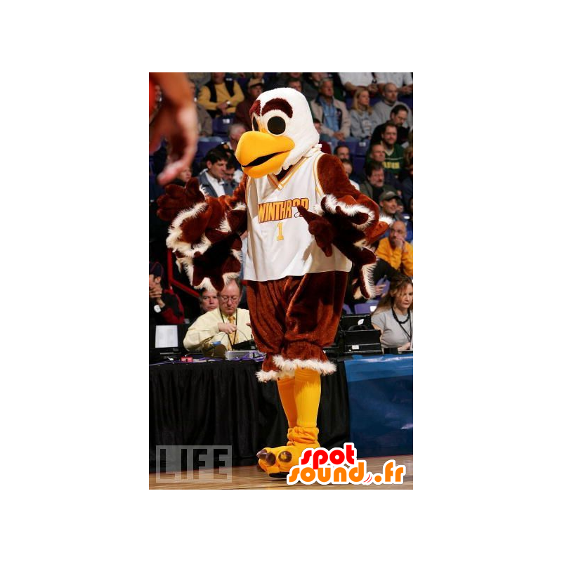 Mascot eagle, vulture, brown, white and yellow - MASFR21048 - Mascot of birds