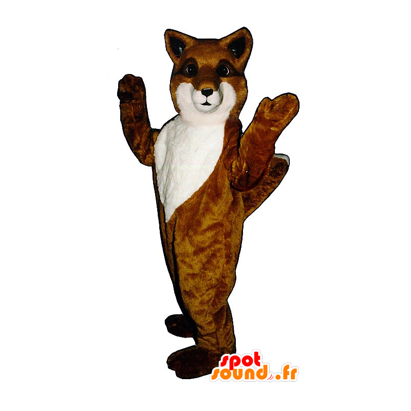 Laranja e mascote de raposa branca - MASFR21069 - Fox Mascotes