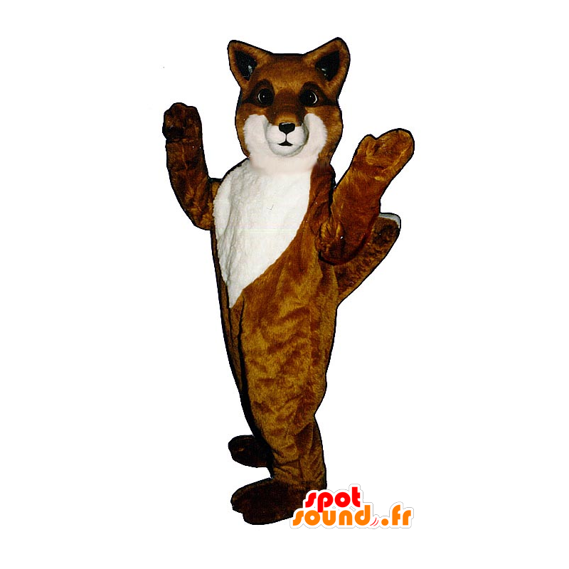 Mascotte de renard orange et blanc - MASFR21069 - Mascottes Renard